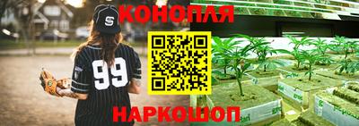не бодяженный Гуково