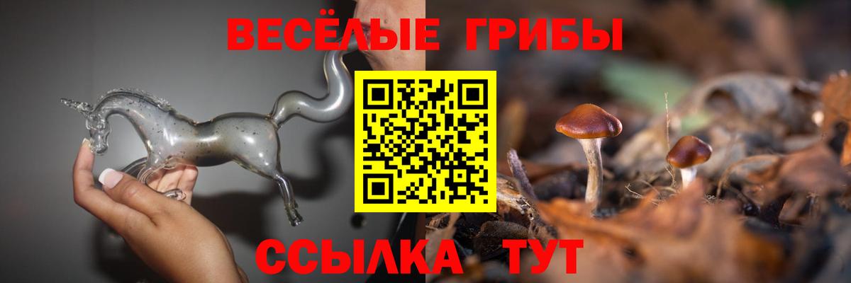Псилоцибиновые грибы мицелий Полевской